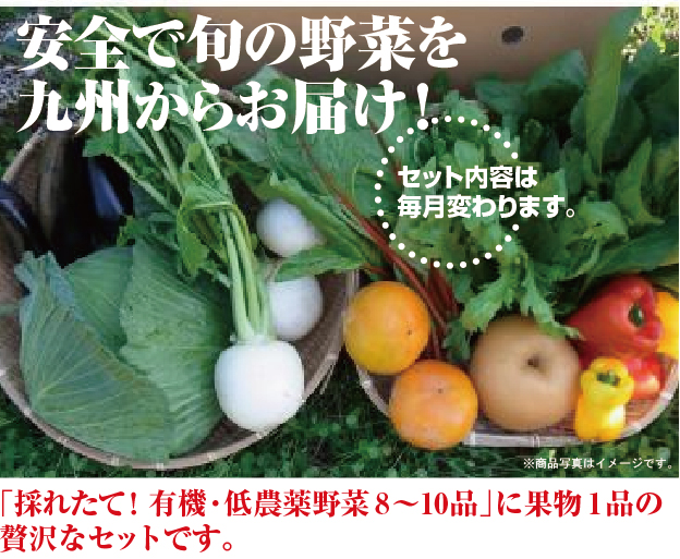 低農薬九州野菜セット