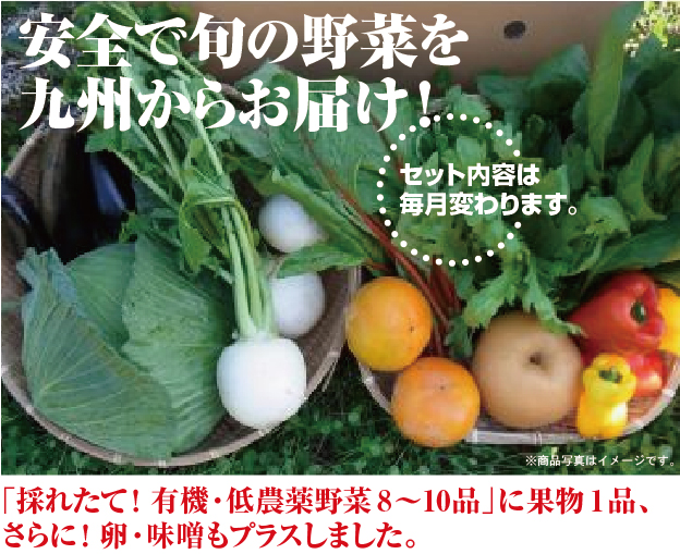 九州野菜セット